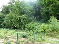 NetObjects Fusion 12.0