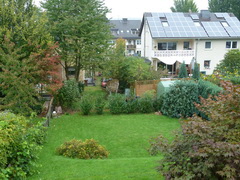 NetObjects Fusion 12.0